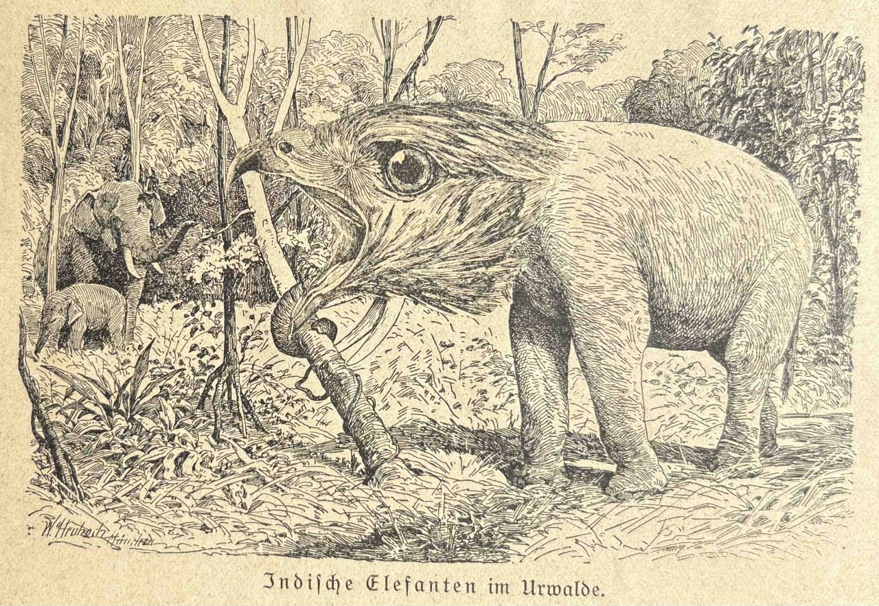 Animalfusionen / (C) Katharina Pfänder