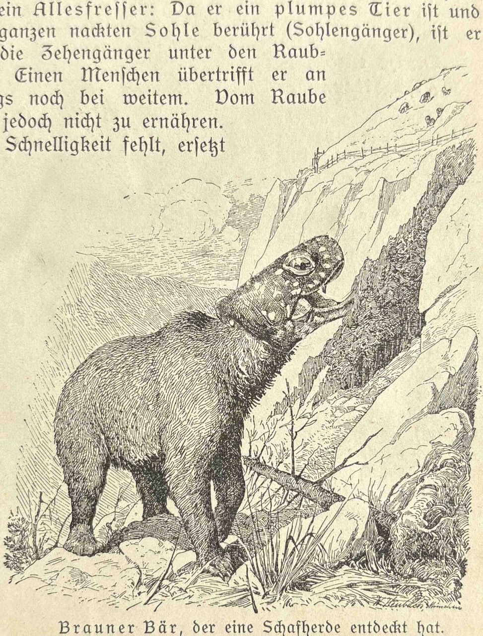 Animalfusionen / (C) Katharina Pfänder