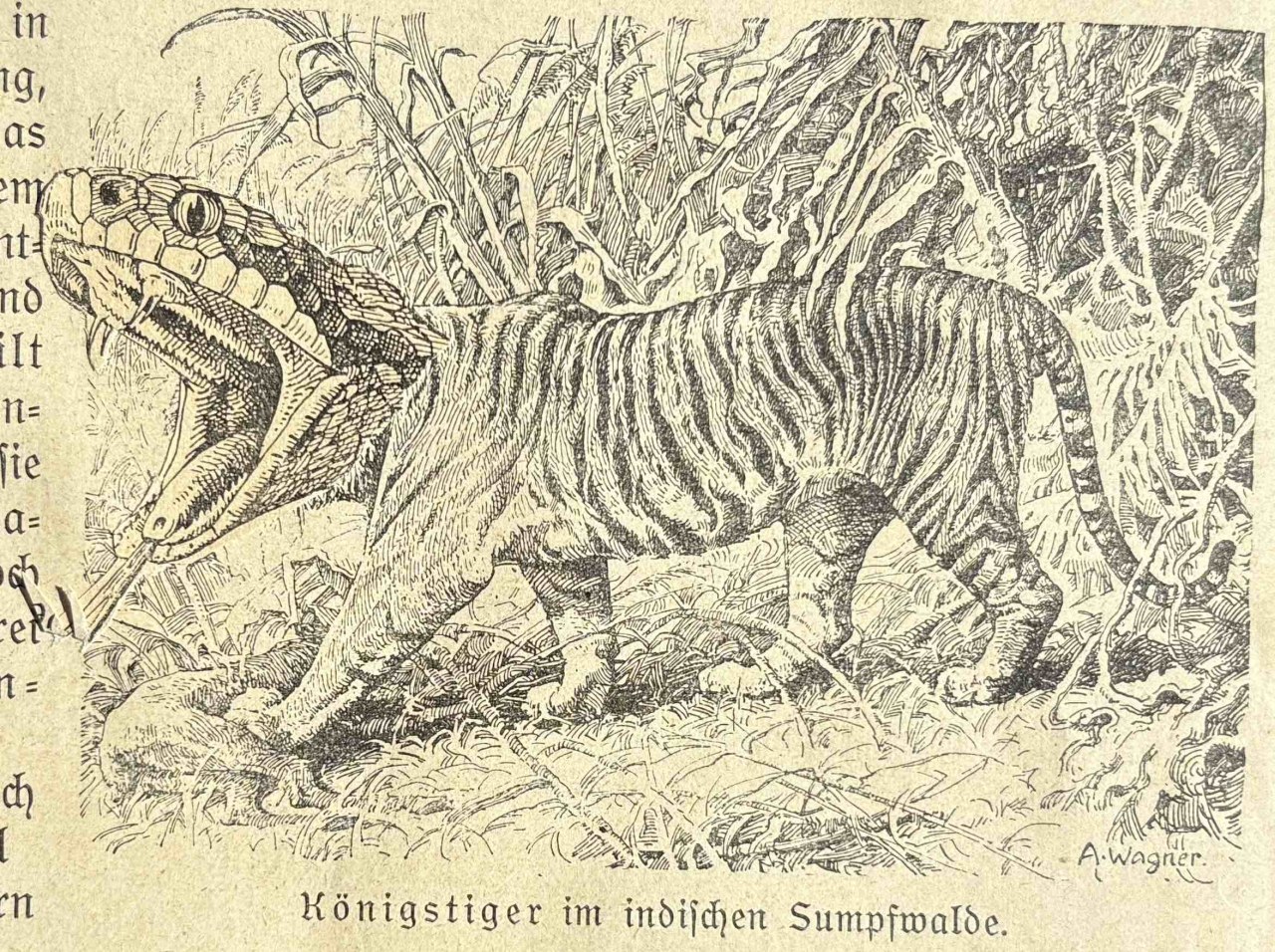 Animalfusionen / (C) Katharina Pfänder