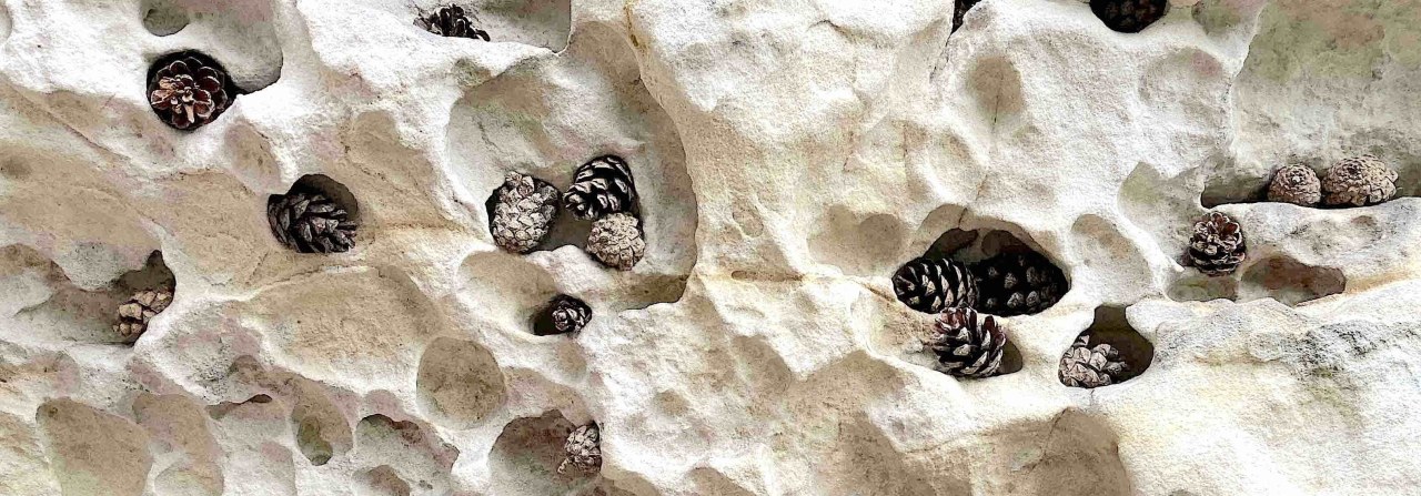 Fundache Notation / (C) Katharina Pfänder