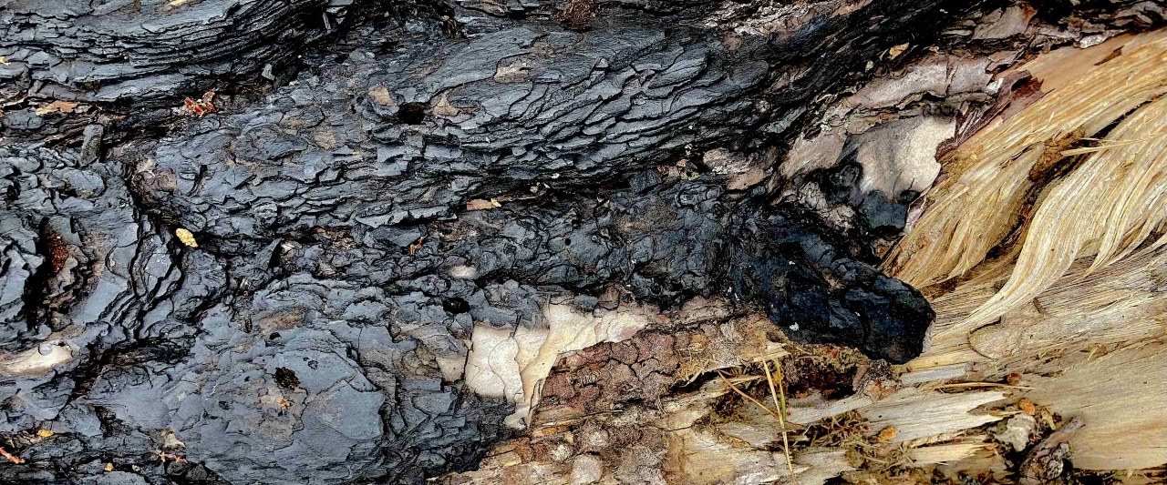 Fundache Notation / (C) Katharina Pfänder