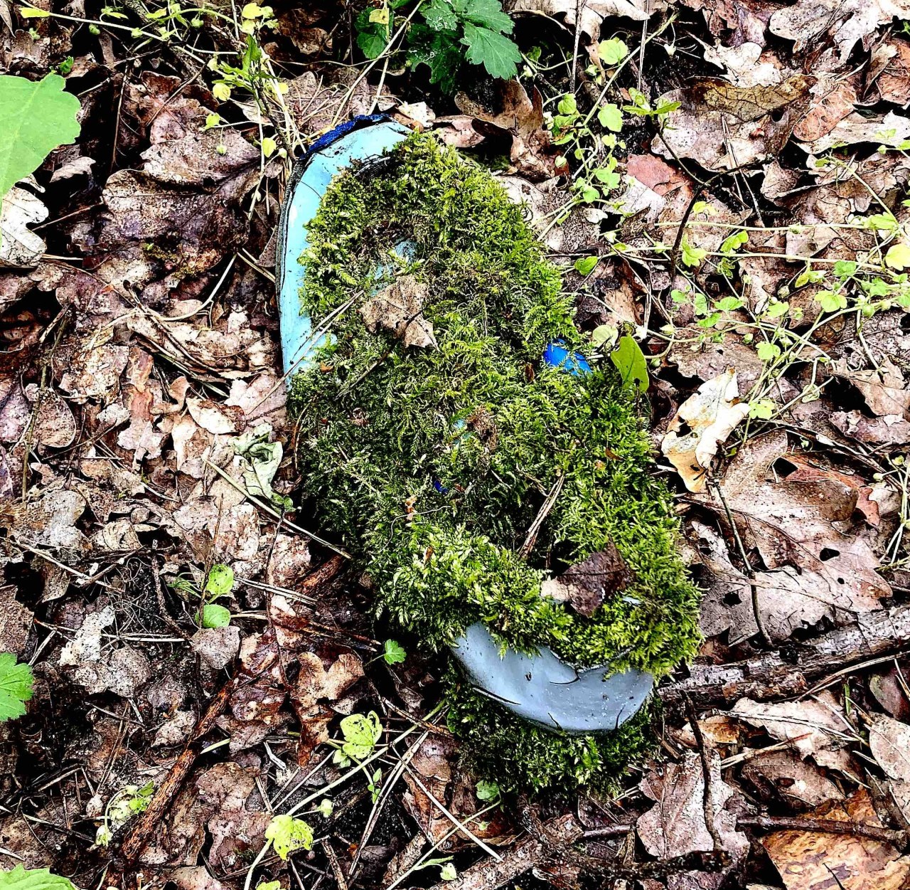 Fundache Notation / (C) Katharina Pfänder