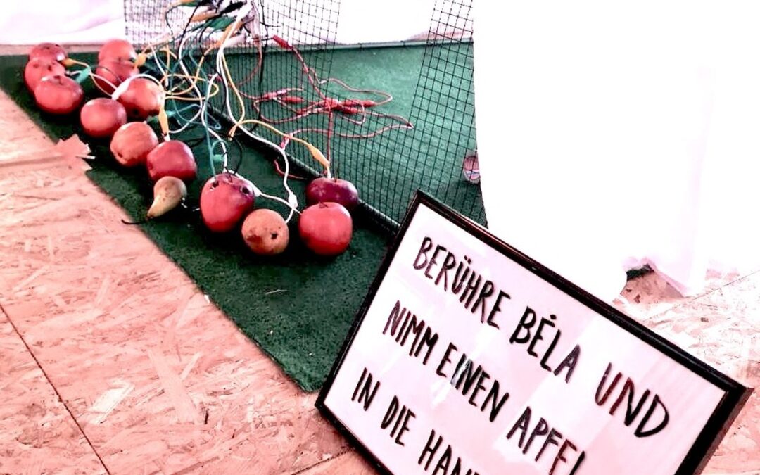 Als ertränke ich in Federn 2024