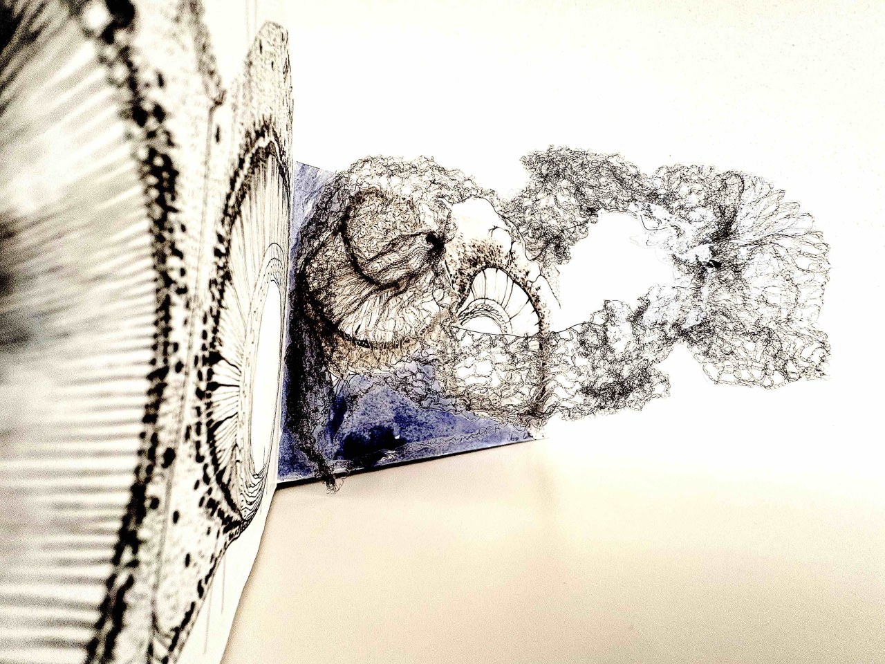 Linienlaminate / (C) Katharina Pfänder