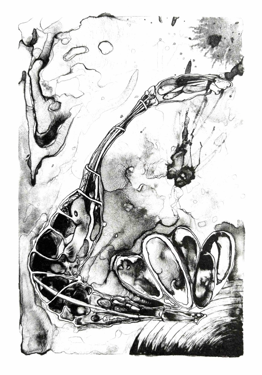 Metamorphosen / (C) Katharina Pfänder