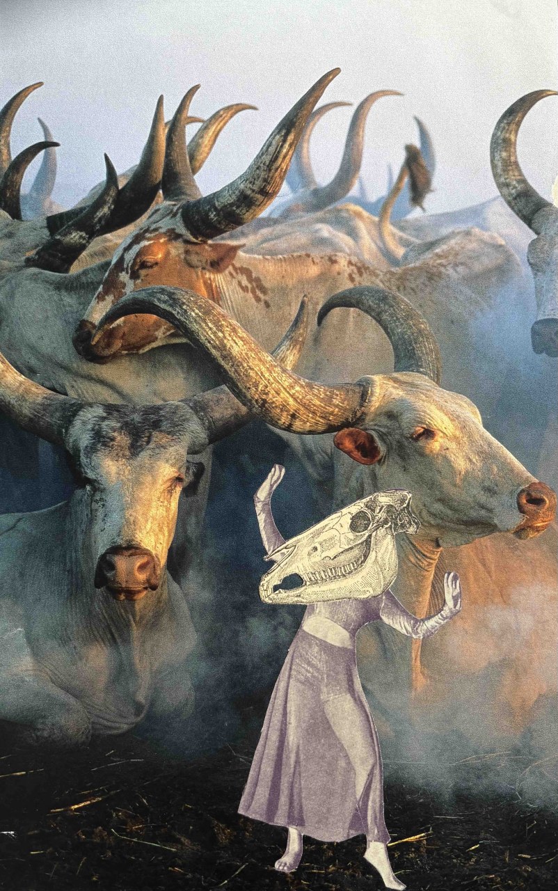 Tänzerinnen / (C) Katharina Pfänder